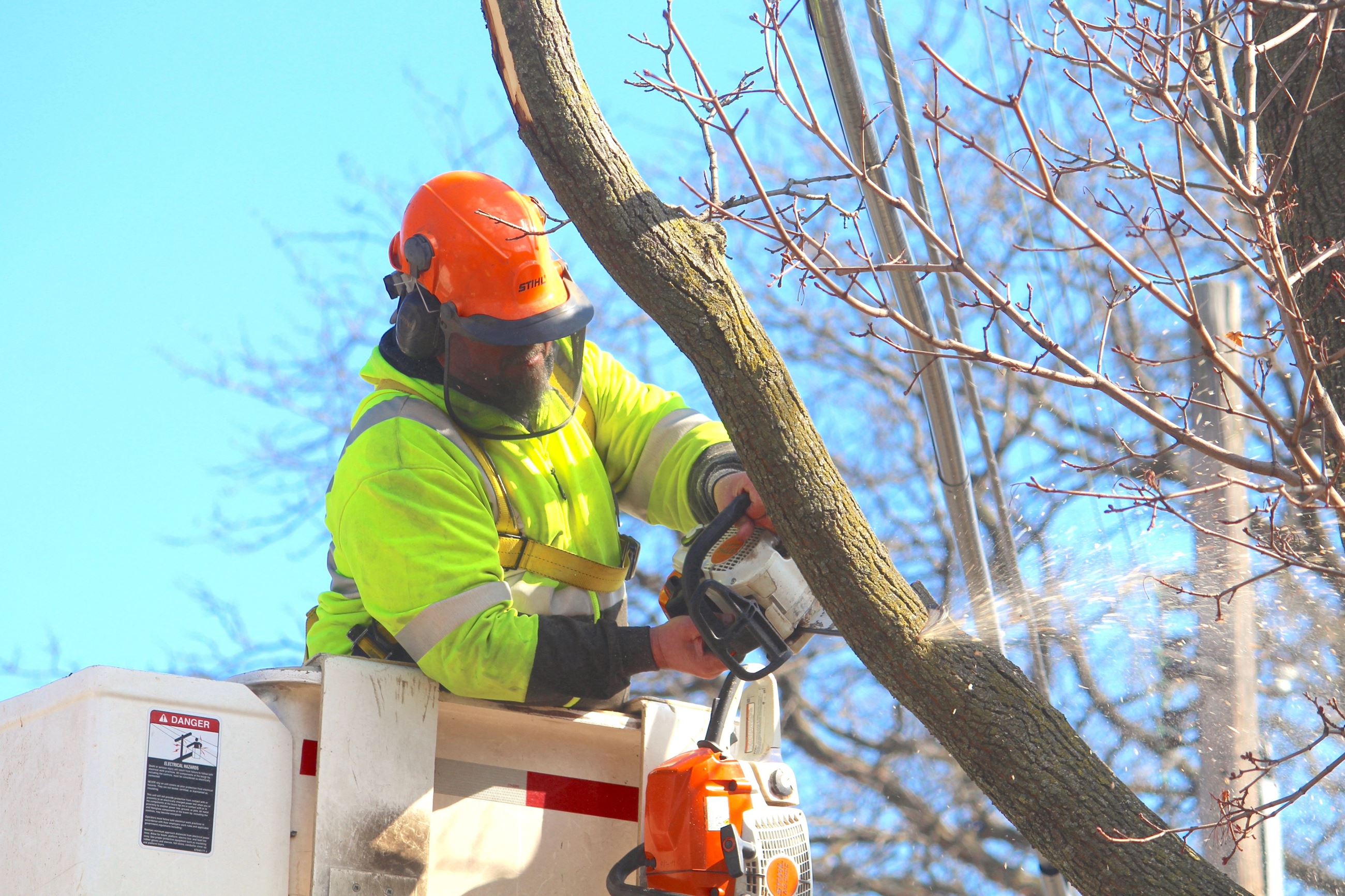 Bob Stolarz of Dept. of Public Works trims a tree on Dewey Avenue.JPG